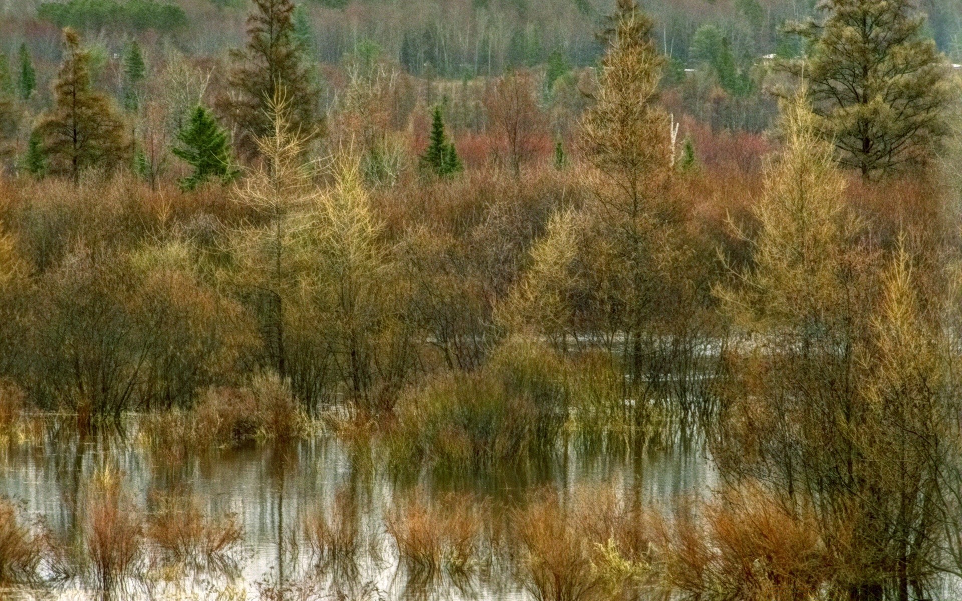 vintage water nature landscape outdoors wood tree lake river fall reflection sky scenic grass park travel environment