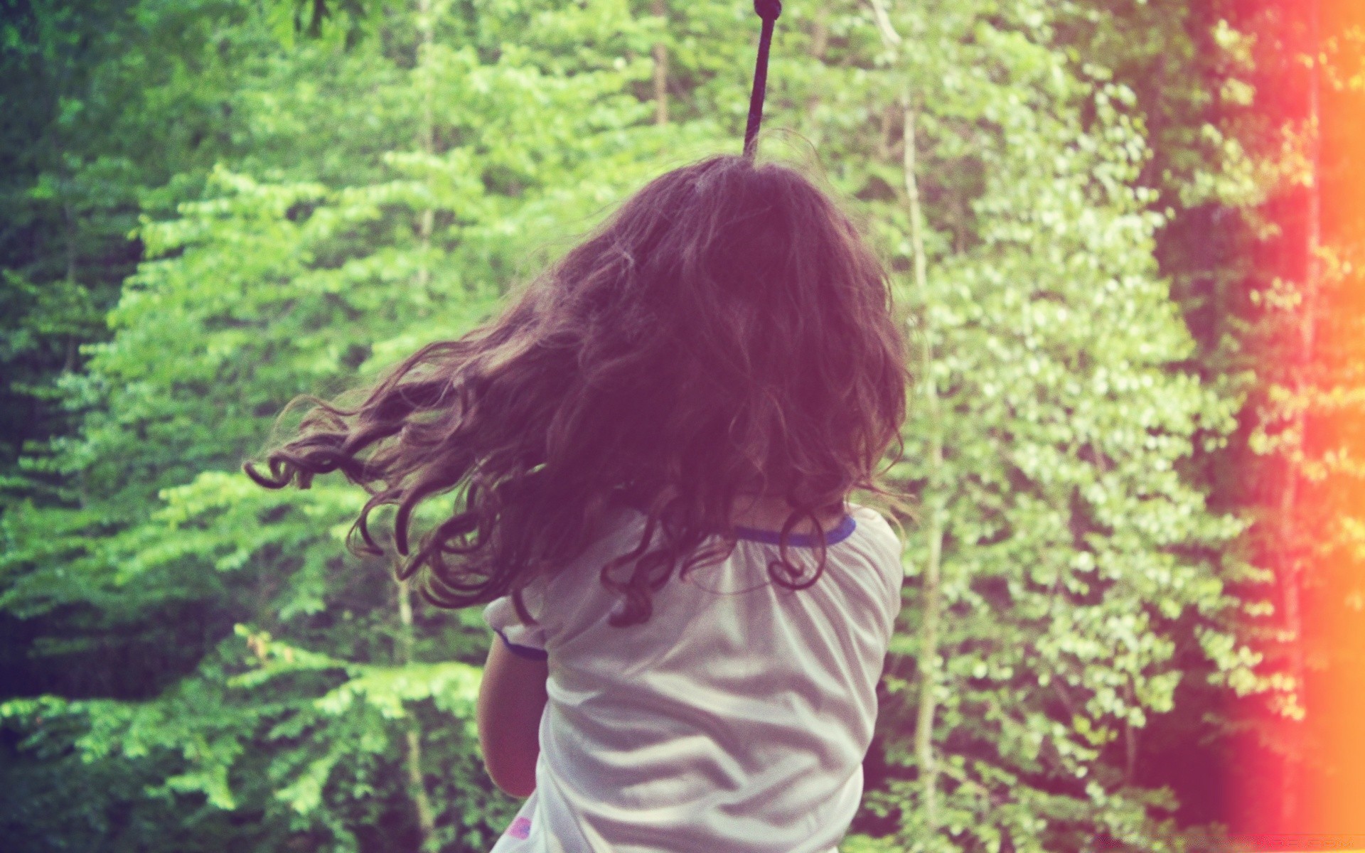 vintage natura legno estate all aperto foglia parco bella ragazza uno albero bel tempo