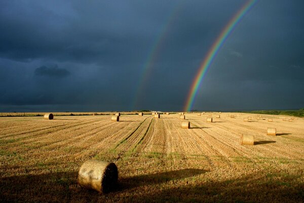 Agriculture during cultivation and harvesting