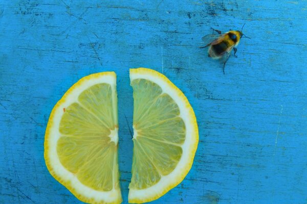 A picture with a lemon and a bee