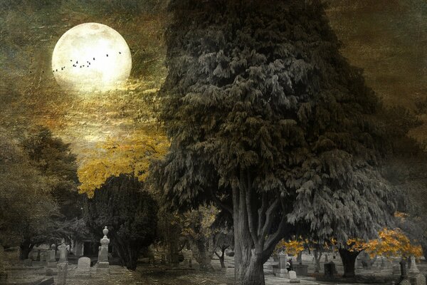 اكتمال القمر في ليلة صافية في المقبرة