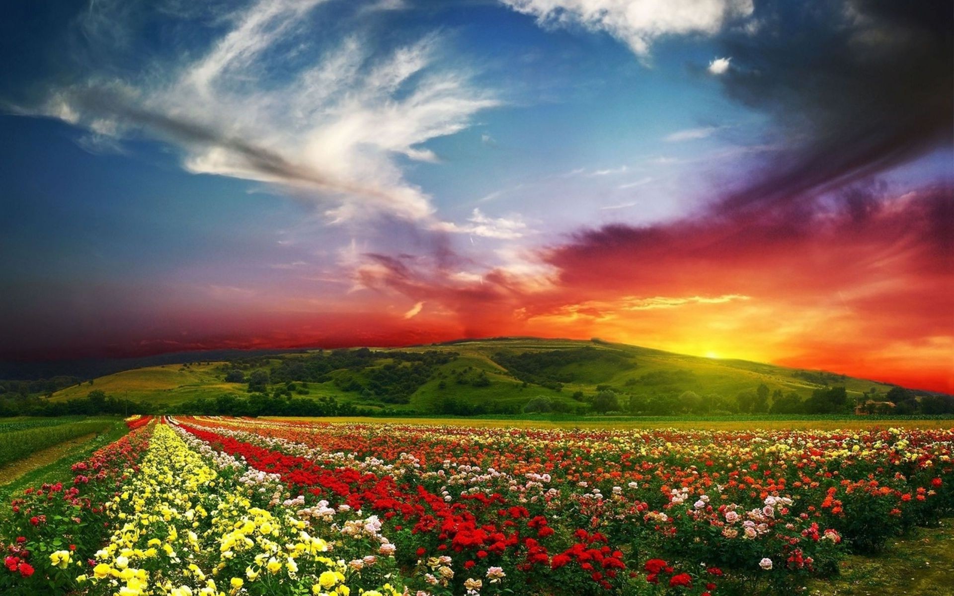 felder wiesen und täler blume landschaft himmel feld natur im freien des ländlichen sonnenuntergang landwirtschaft bebautes land gras landschaft sonne heuhaufen wachstum bauernhof