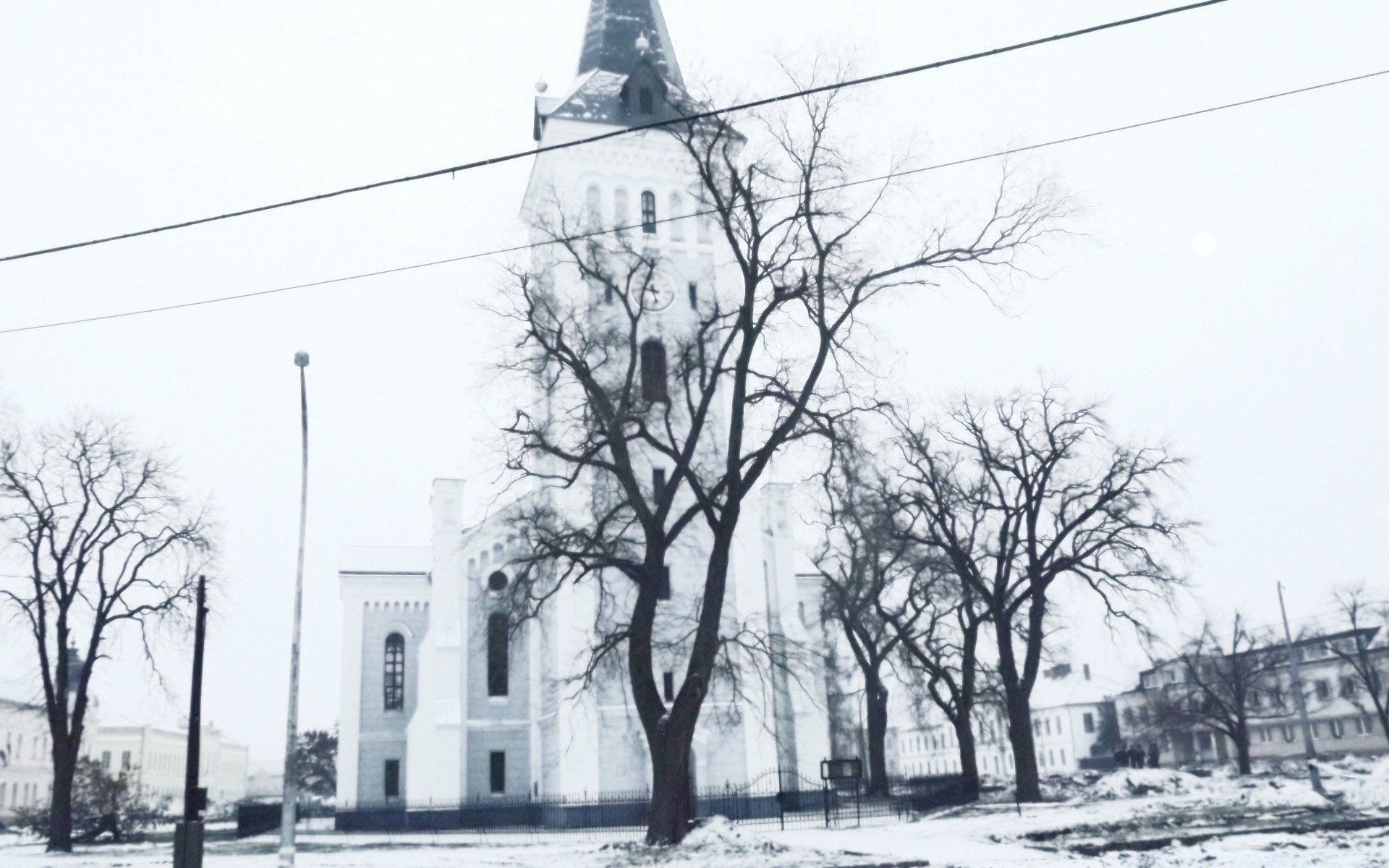 vintage tree street winter outdoors building architecture