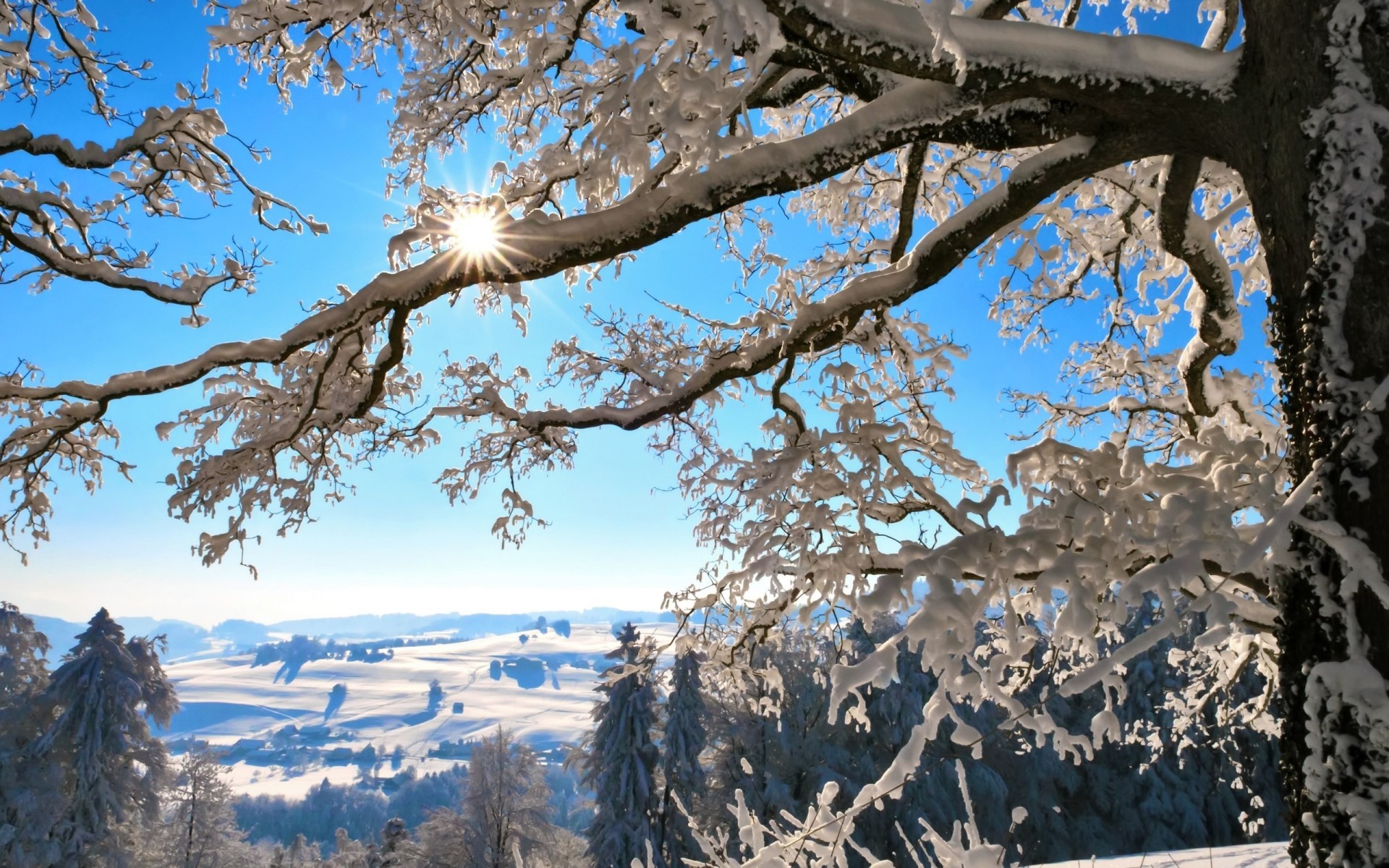 зима природа пейзажи снег новый год