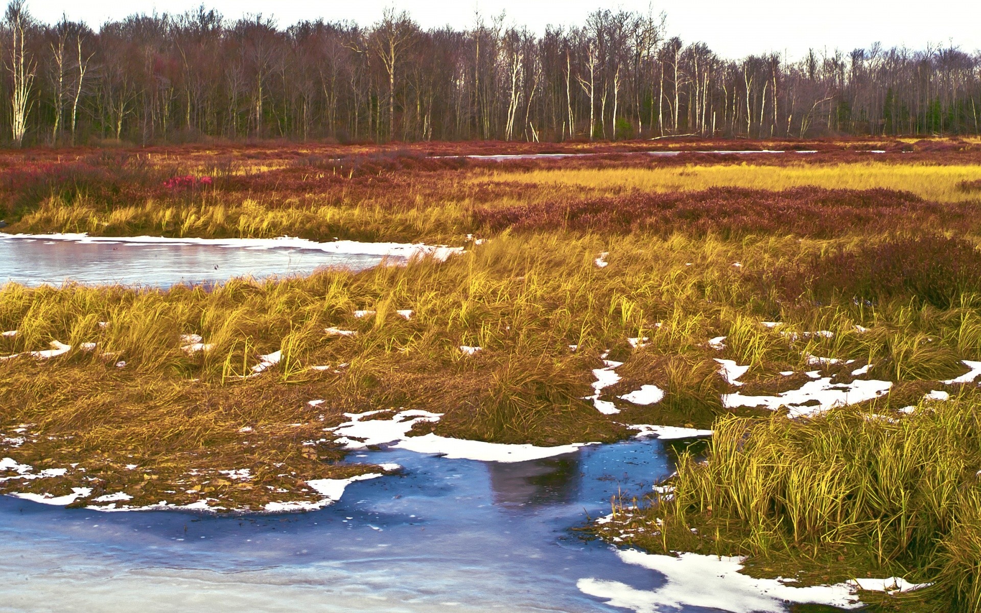 jahrgang landschaft wasser natur im freien see holz landschaftlich holz fluss reisen reflexion herbst