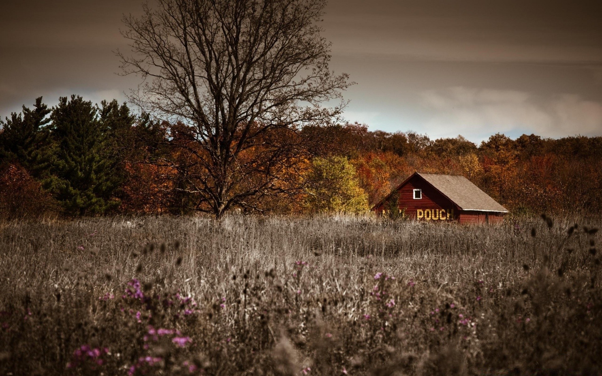 vintage landscape outdoors dawn fall tree nature sunset sky countryside rural