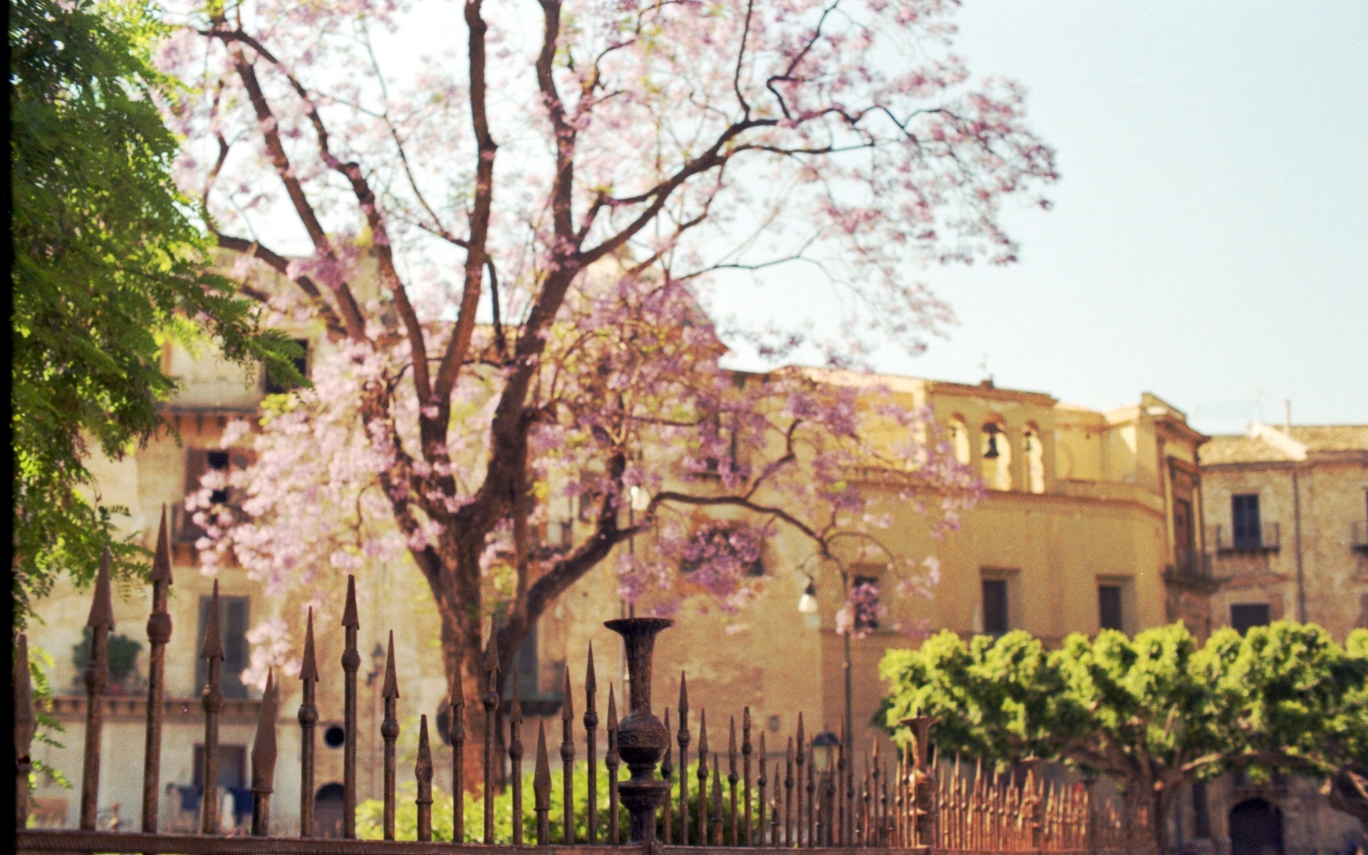 vintage árbol arquitectura hogar hogar viajes ciudad paisaje al aire libre jardín espectáculo parque viejo ciudad calle exterior escénico turismo