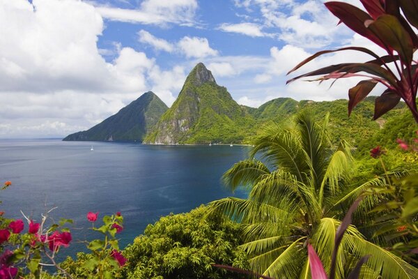 Voyage sur l île tropicale «watergirl»