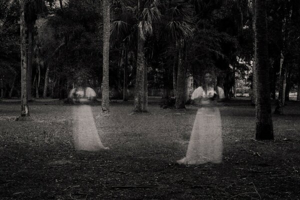 Park ghosts darkness horrors