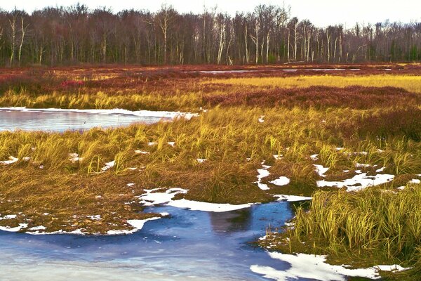 Campos en el agua la llegada de la primavera