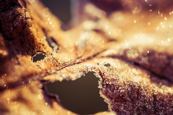 Close-up di un pezzo di torta in sezione