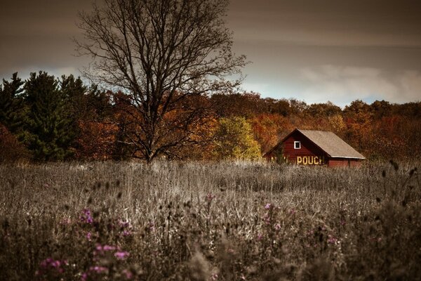 A lonely house on the background of an autumn forest