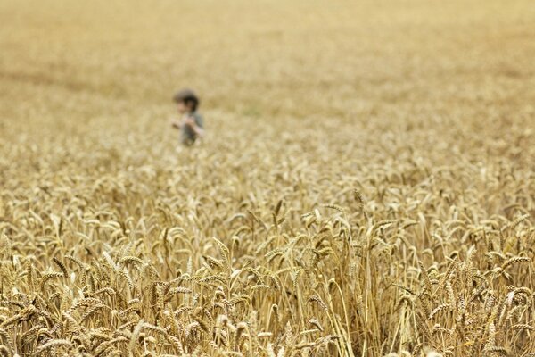 Ragazzo in un campo di grano raccolto