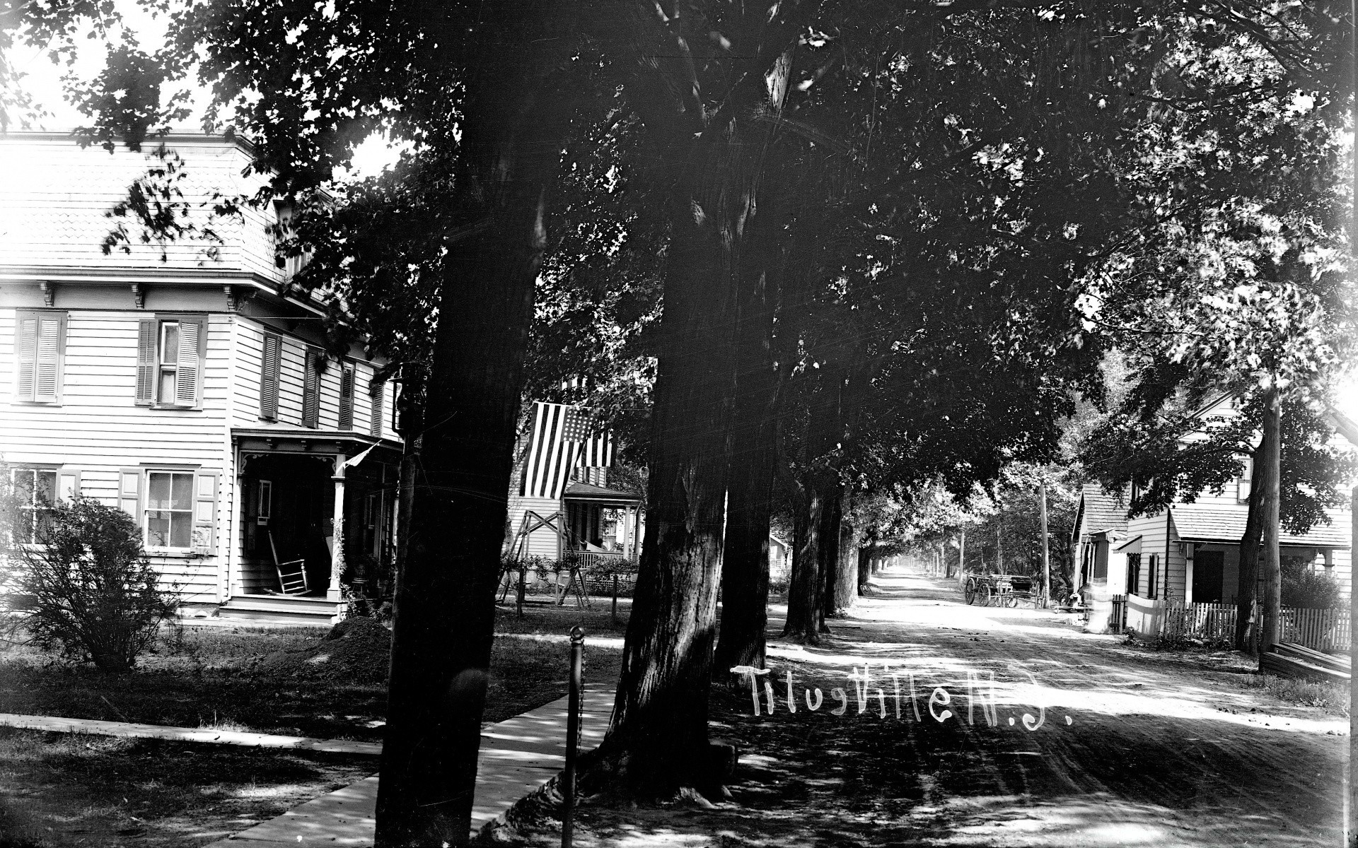 vintage home street tree monochrome