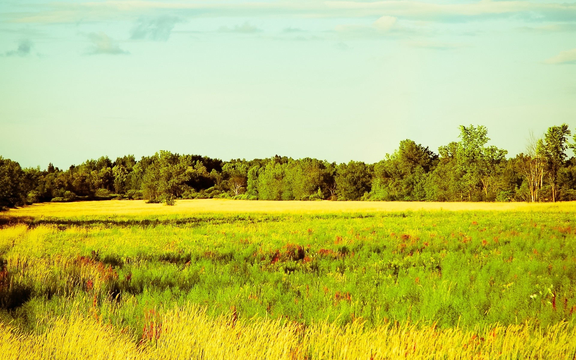 jahrgang landschaft landwirtschaft feld natur des ländlichen bauernhof gras im freien baum sommer landschaft himmel heuhaufen bebautes land weide land gutes wetter landschaftlich