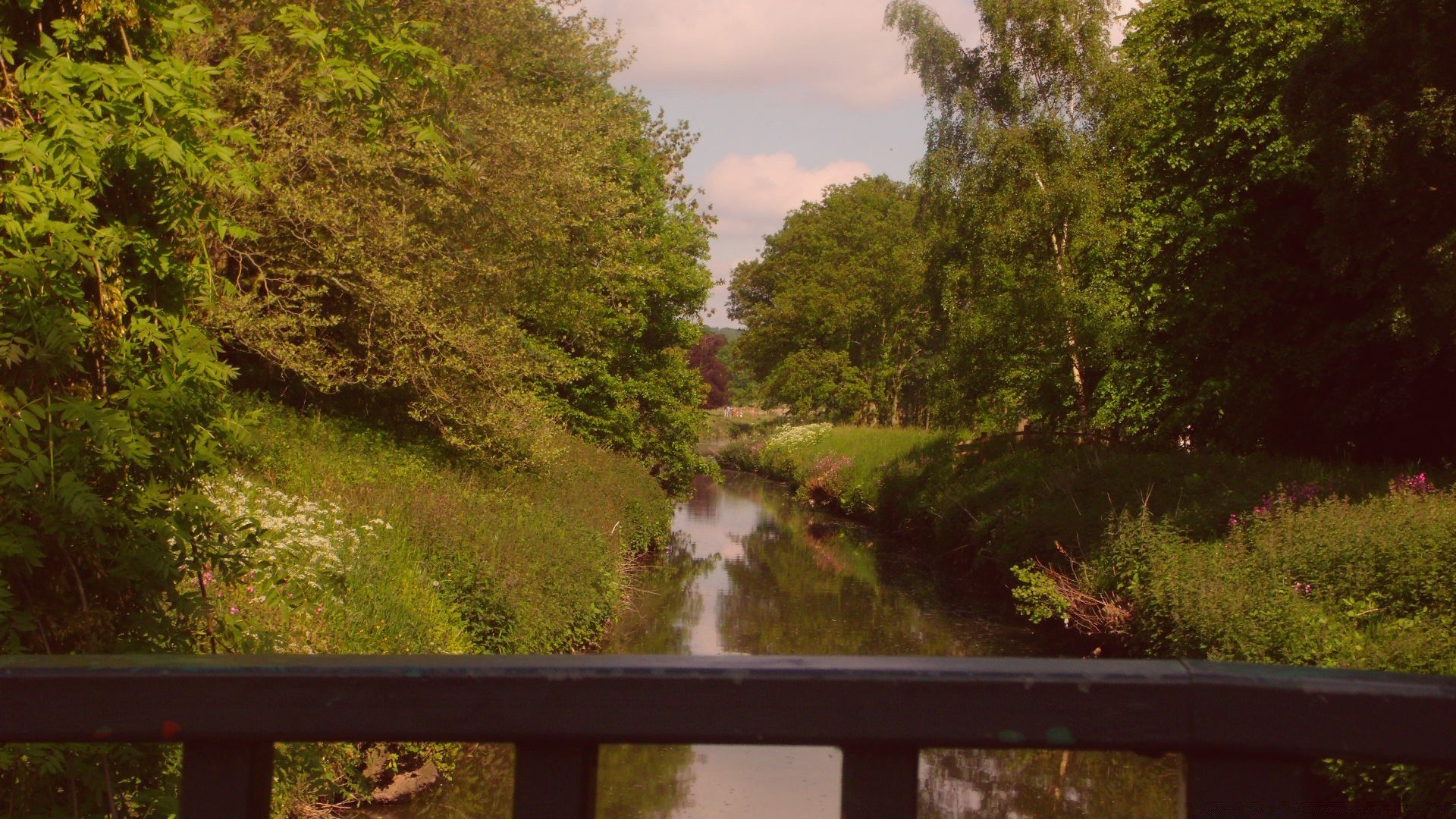 vintage bois bois paysage nature à l extérieur eau parc rivière feuille scénique environnement voyage automne route été lumière du jour herbe saison