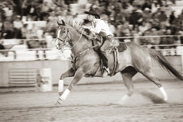 Carreras de caballos con jinete foto en buena calidad