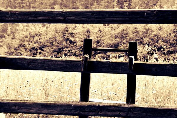 Wooden fence on the background of nature