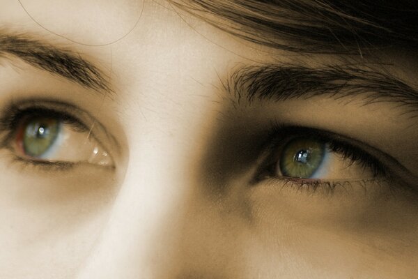 Female gaze of green eyes