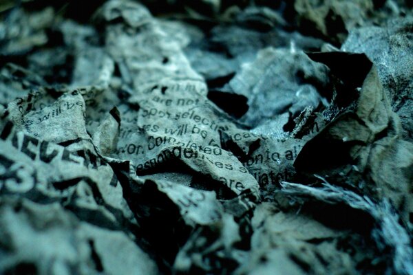 Close-up paper texture