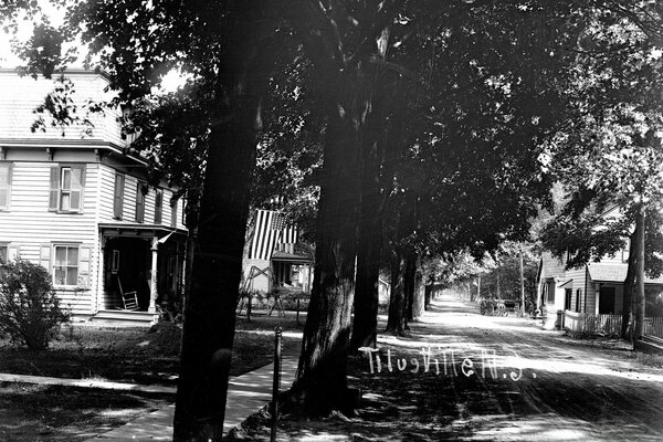 A street with houses and trees in monochrome