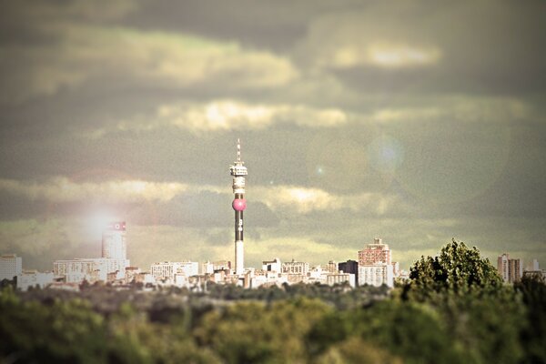 The city is hidden behind greenery