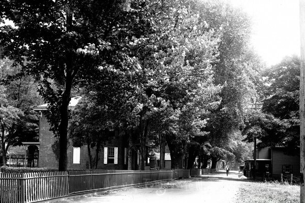 Parc d été en noir et blanc