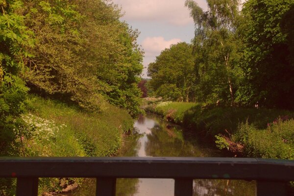 Naturlandschaft mit Fluss und Wald