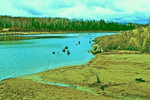 Lake shore in vintage style