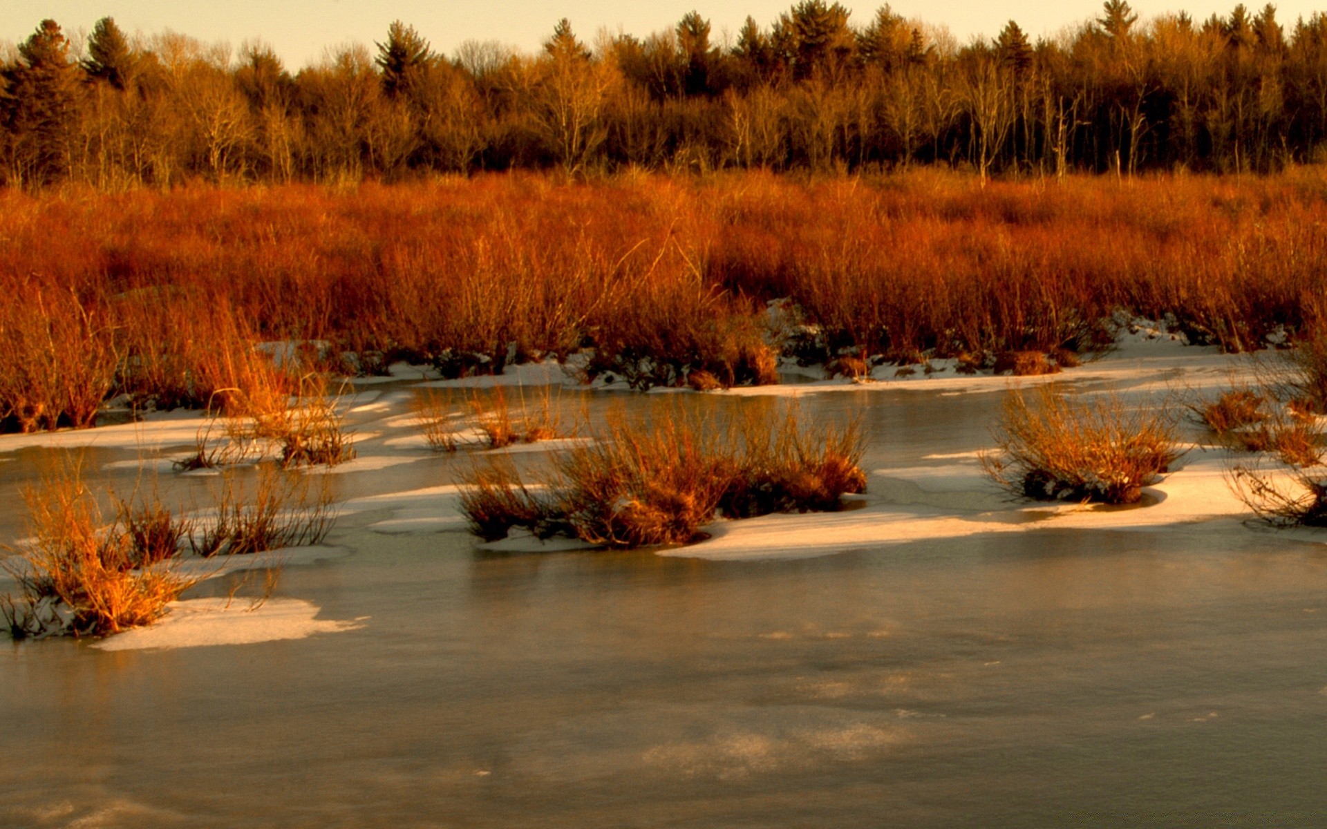 vintage inverno acqua paesaggio albero neve autunno natura legno fiume all aperto freddo riflessione tramonto alba sera lago parco tempo scenico