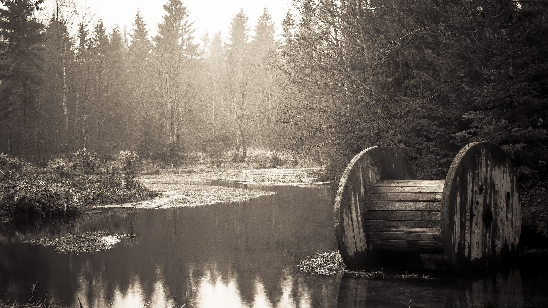 vintage fiume acqua legno lago riflessione paesaggio albero inverno natura monocromatico all aperto autunno