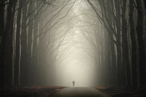 Uomo di notte nella foresta