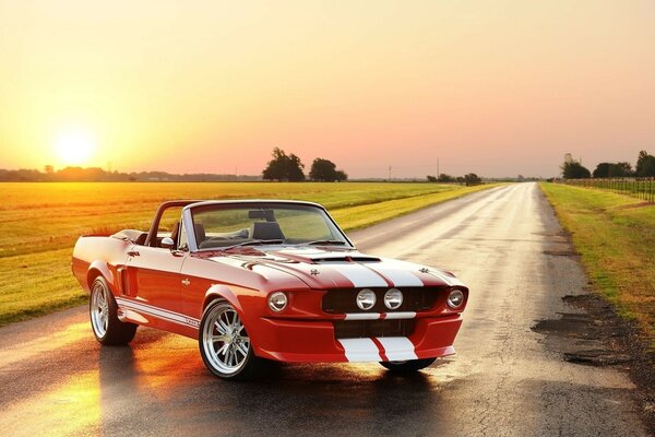 Sports car on asphalt at sunset