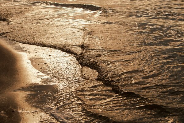 Onde del mare calme e costa