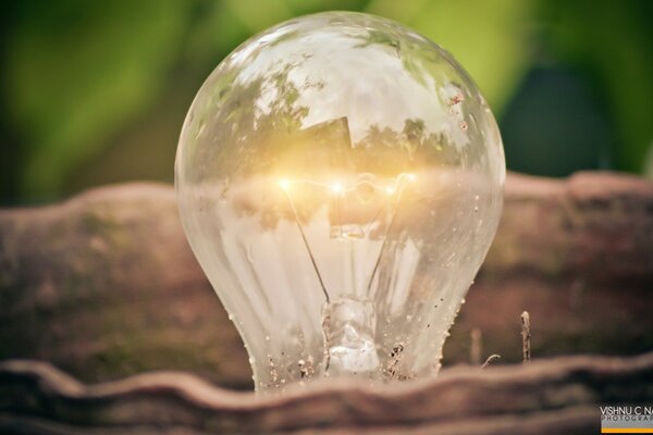 A burning light bulb on the background of foliage