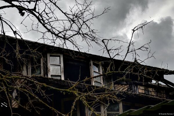 An old house and a tree without leaves