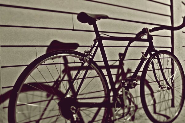 靠在灰色墙上的旧自行车