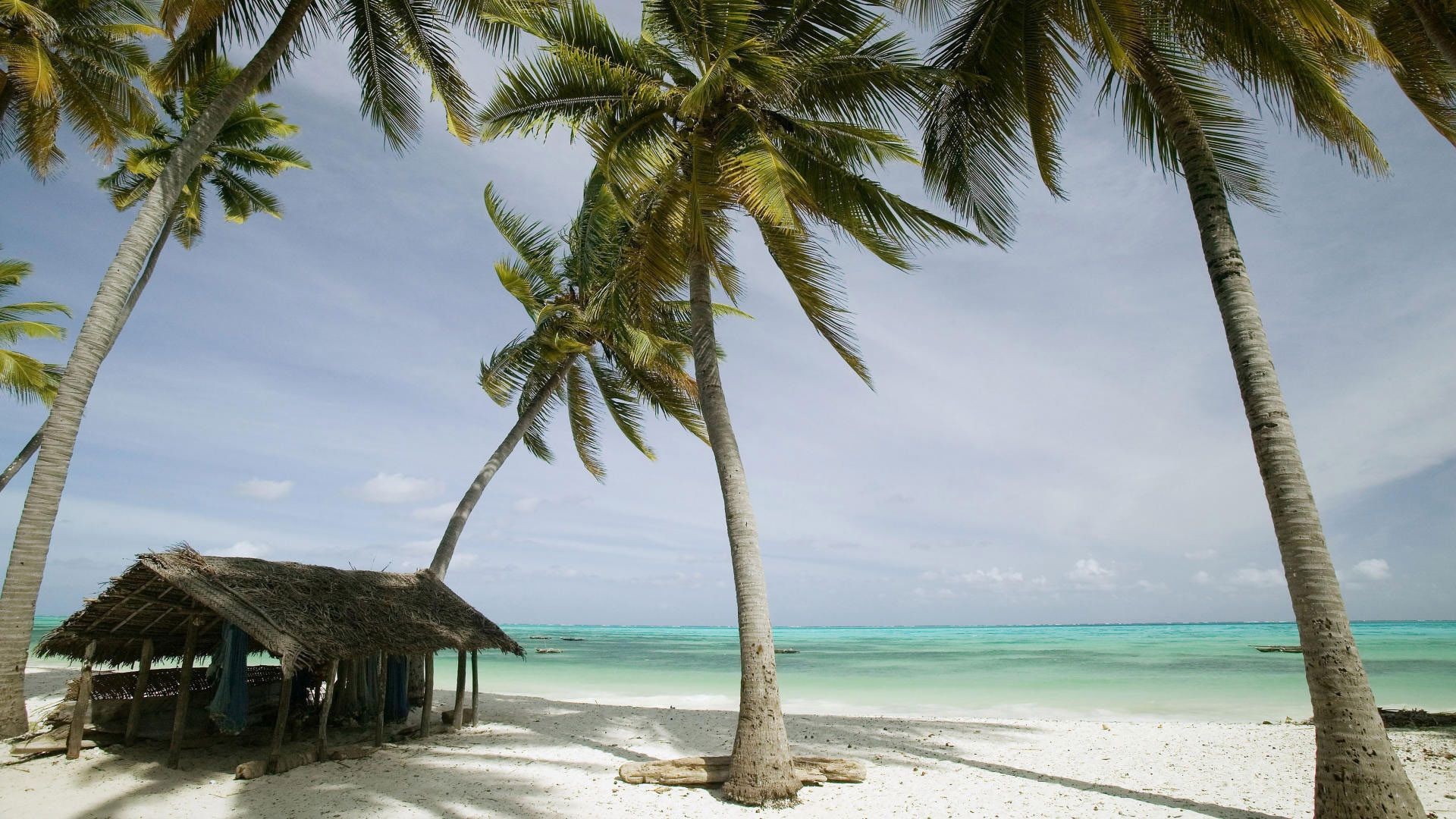 palmeras y trópicos arena tropical playa océano mar idilio isla turquesa exótico vacaciones viajes palmas verano resort paraíso relajación agua sol paisaje coco