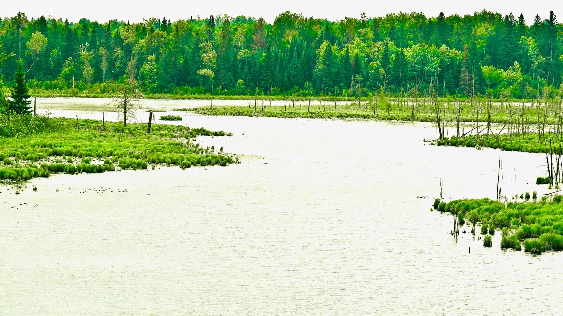 jahrgang wasser landschaft fluss baum see reflexion natur schwimmbad im freien landwirtschaft landschaftlich holz umwelt flora feld reisen bauernhof