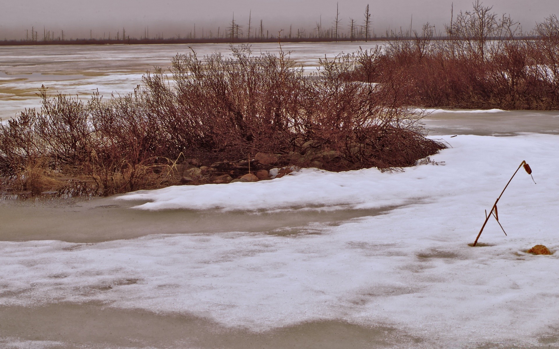 vintage hiver neige eau paysage froid glace congelé lac arbre nature météo gel rivière à l extérieur bois environnement réflexion ciel