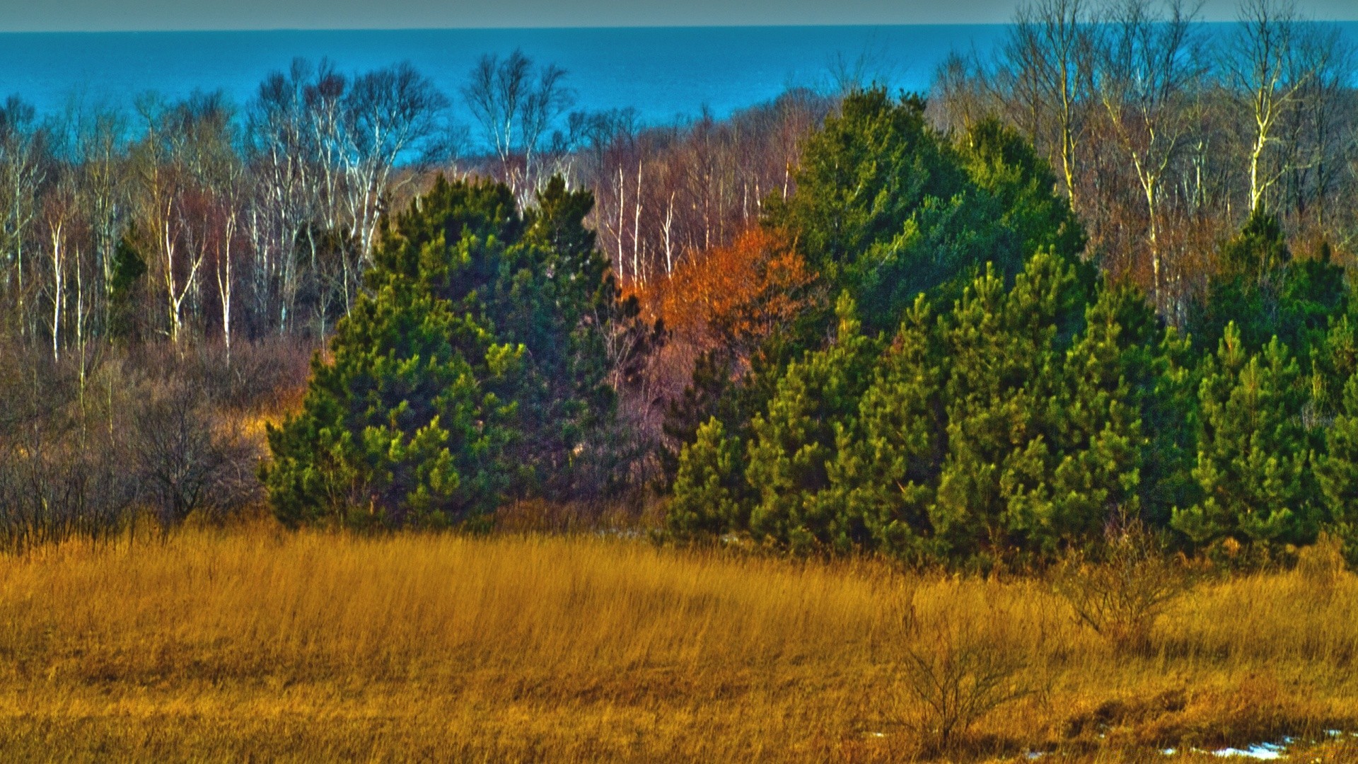 vintage landscape wood nature wood sky scenic outdoors sunrise sunset autumn travel evening light hill spectacle field beautiful grass haymaking