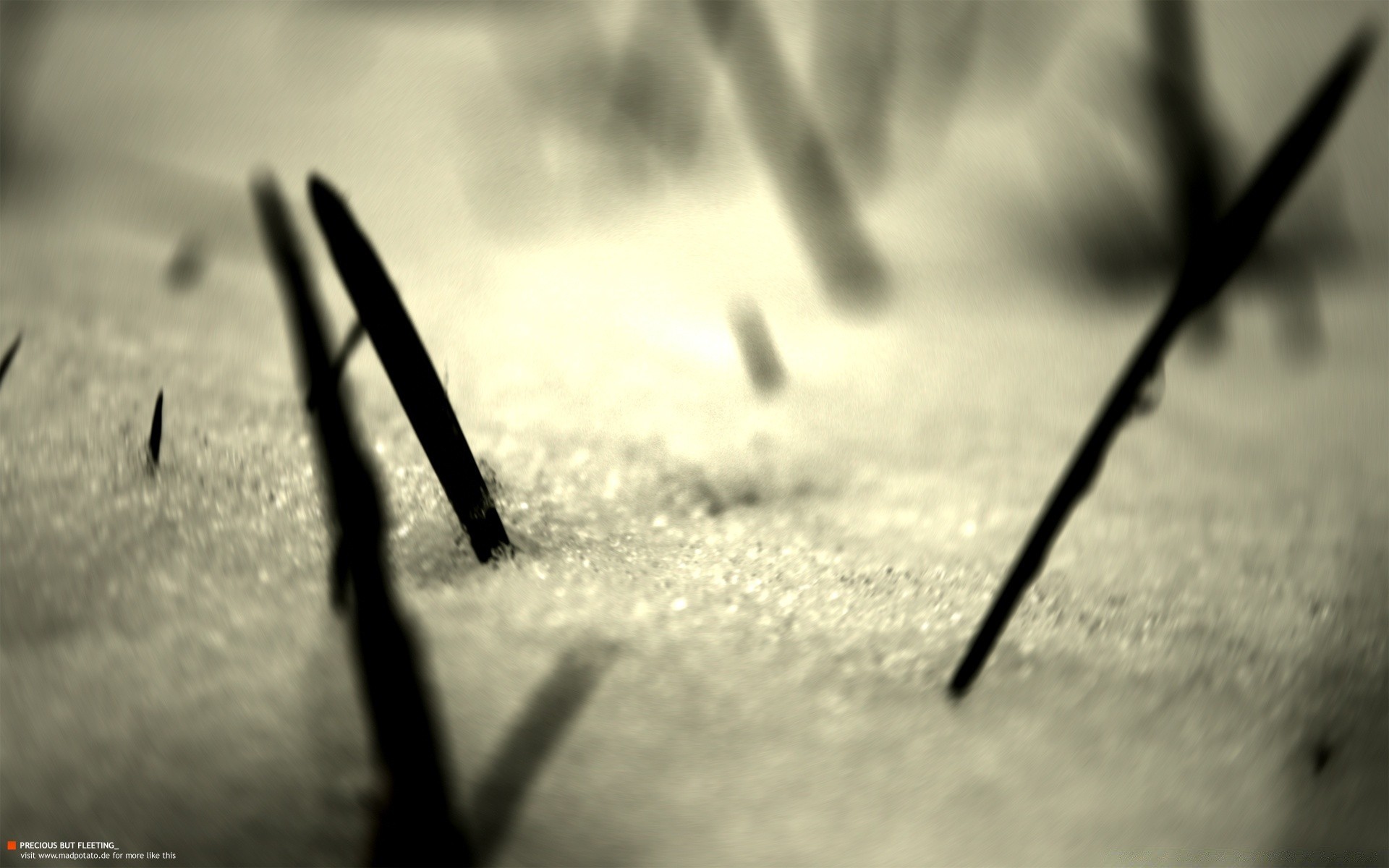 jahrgang unschärfe monochrom stillleben schnee schatten winter dof wetter im freien landschaft fokus ein natur licht schwarz / weiß holz