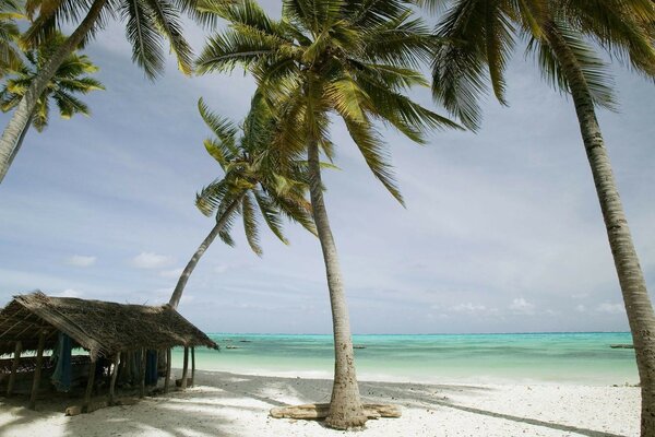 Strand mit Palmen und Bungalows