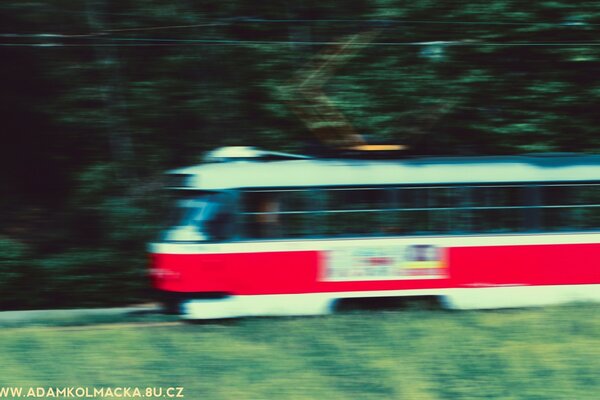 Train flou sur fond de verdure