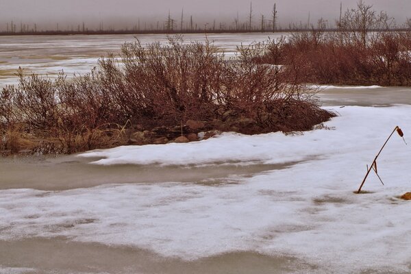 Winter landscapes near a frozen pond