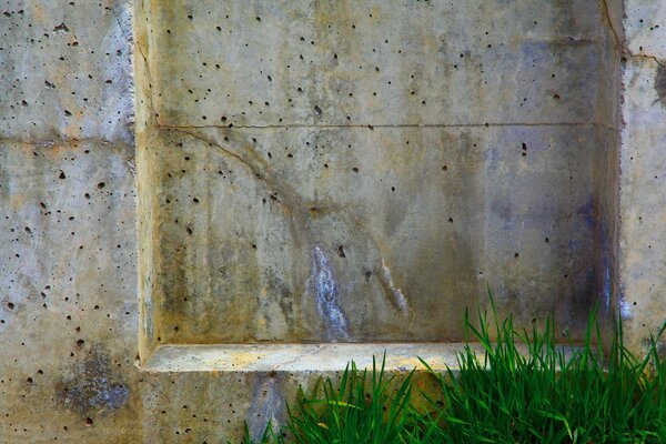 Retro picture of a wall with greenery