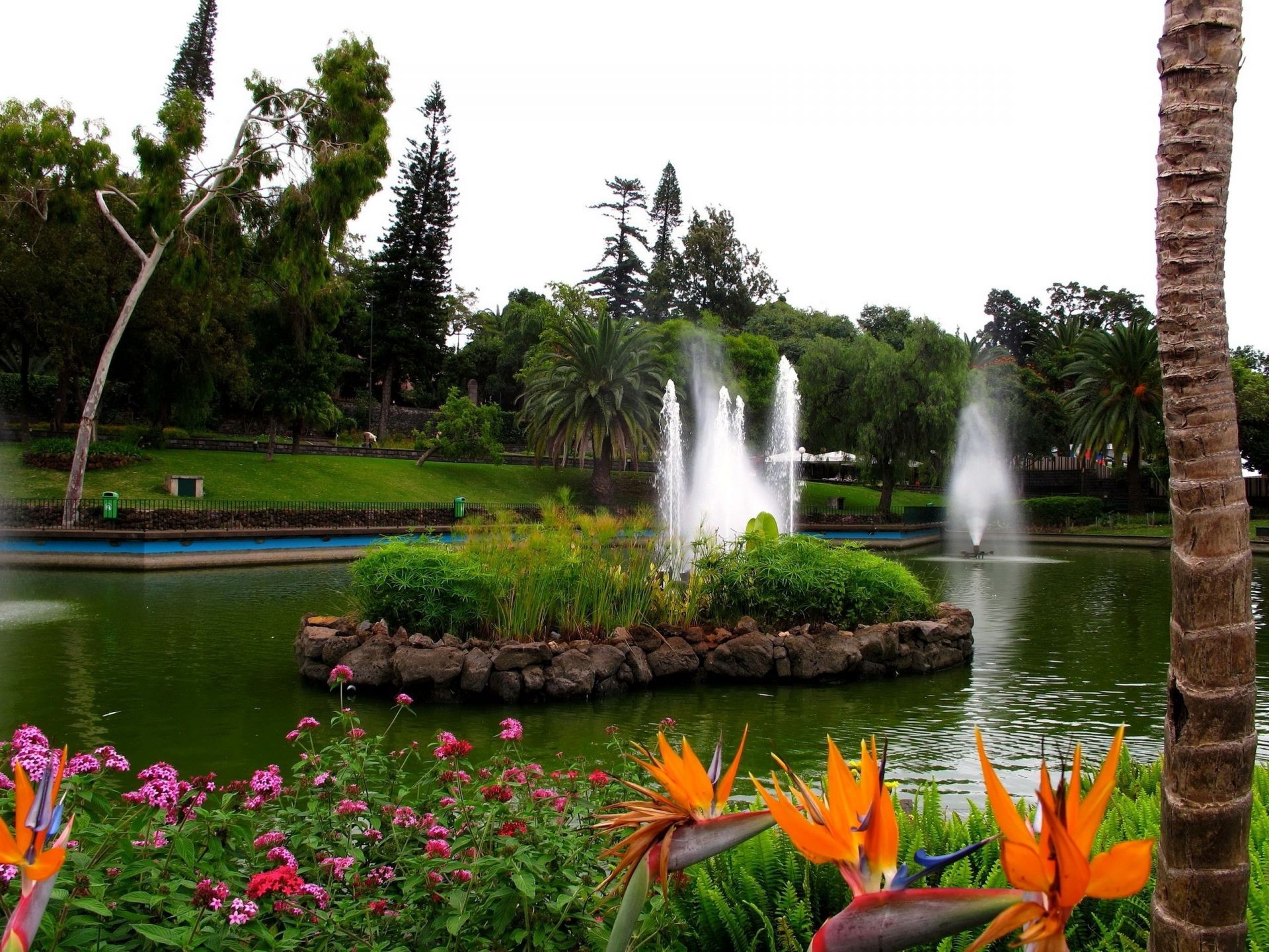 parks wasser natur sommer garten baum im freien park schwimmbad fluss blume see reisen flora blatt holz gras