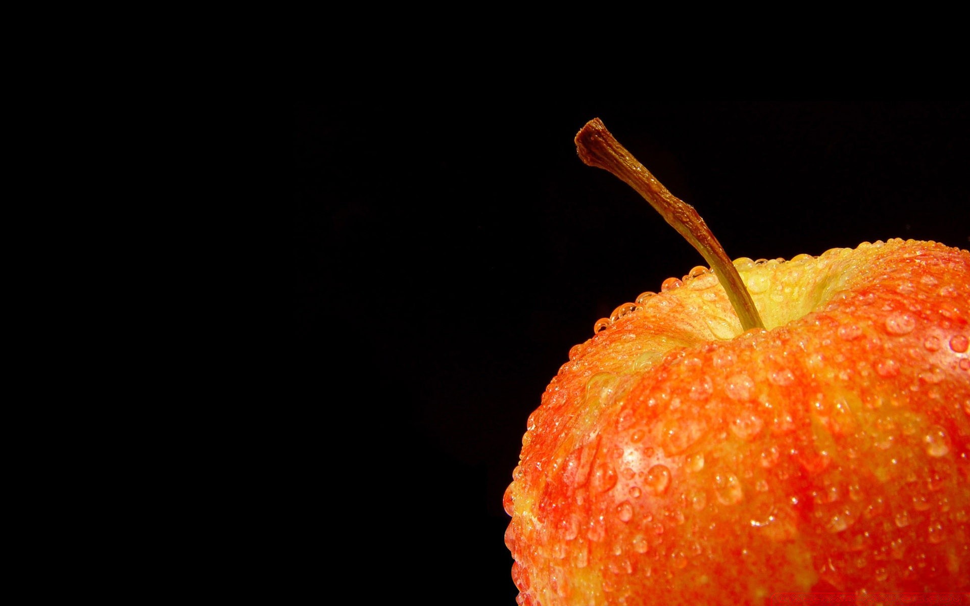 noir nourriture fruits grandir délicieux santé