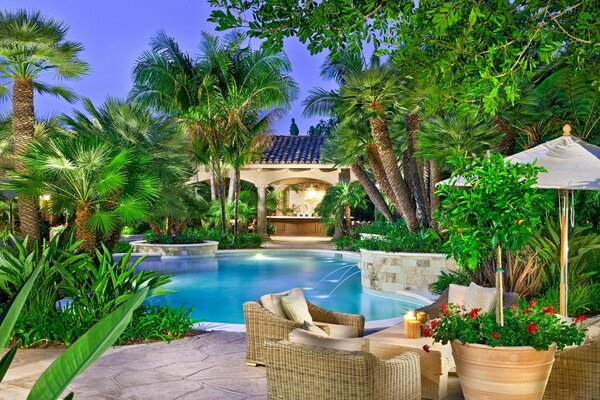 Tropical resort relaxing by the pool