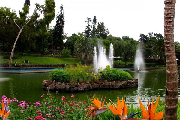 Flower island on the lake